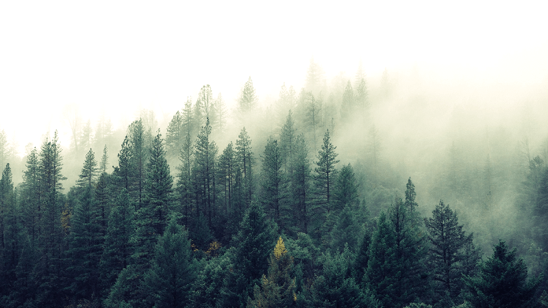 🌟 Advance ML Crash Course